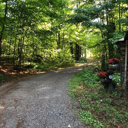 Country Living Bed and Breakfast Gravenhurst Esterno foto