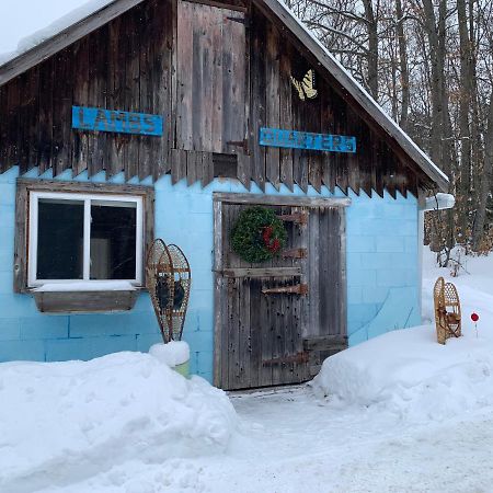 Country Living Bed and Breakfast Gravenhurst Esterno foto