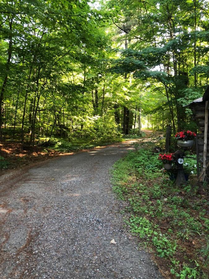 Country Living Bed and Breakfast Gravenhurst Esterno foto